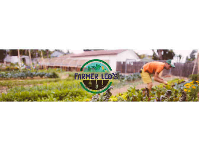 Eight (8) Weeks of Community Supported Agriculture (CSA) from Farmer Leo's