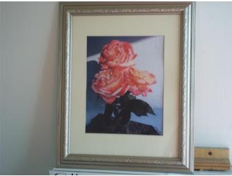 Photograph of Roses