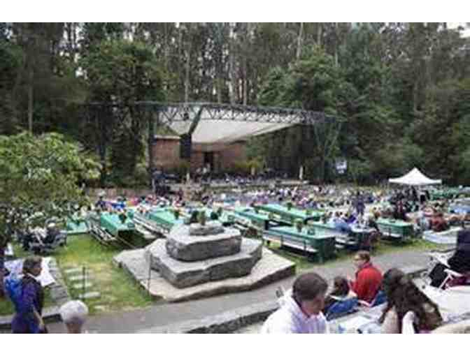 A Stern Grove Picnic Table at the Concert of Your Choice!