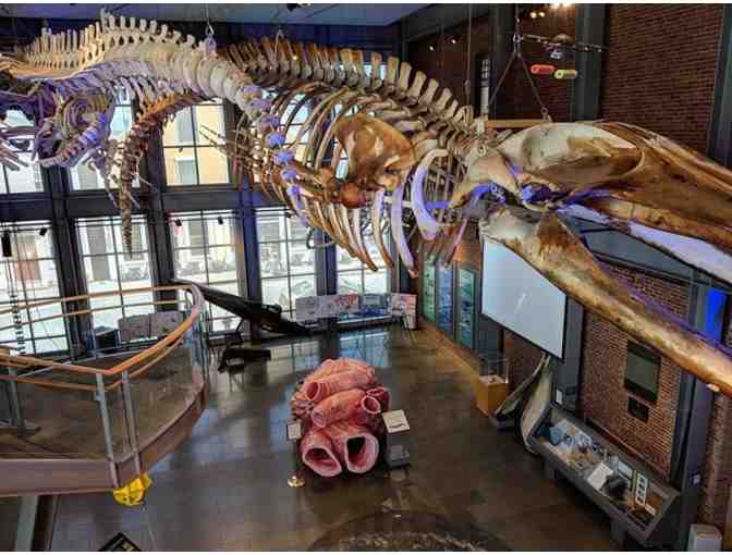 New England History Lovers Package