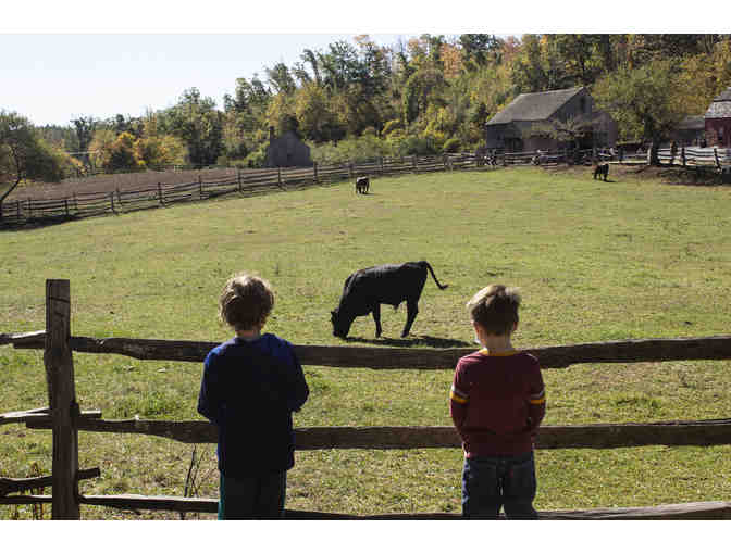 Experience Life on the Farm