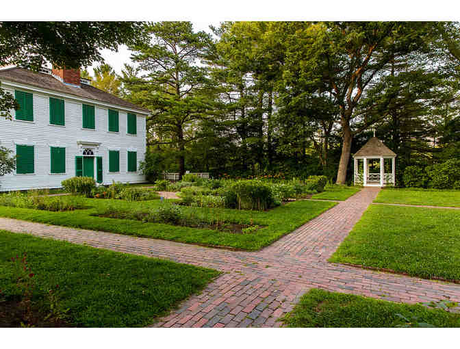 Etiquette of Tea Experience