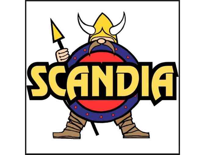 4 Tickets to Scandia Family Fun Center in Fairfield CA - Photo 1