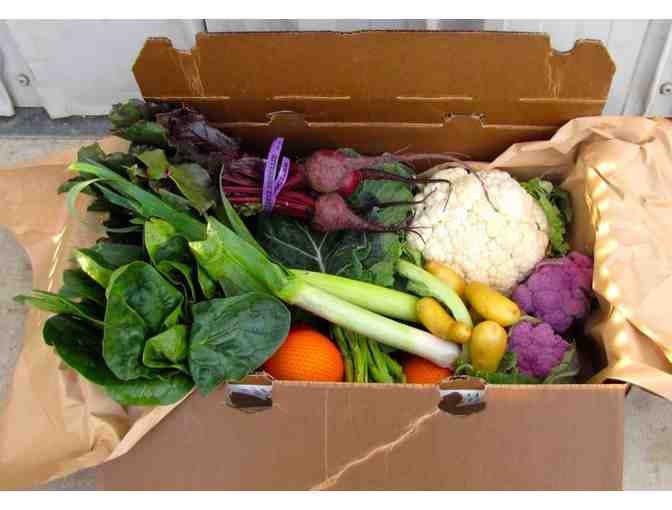 Riverdog Farm - 4 weeks of organic veggie boxes