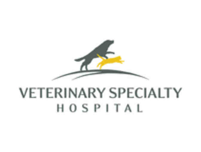 A Day with a Veterinarian