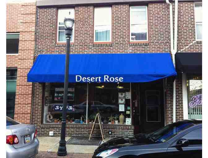 ***Desert Rose - $25 Gift Certificate