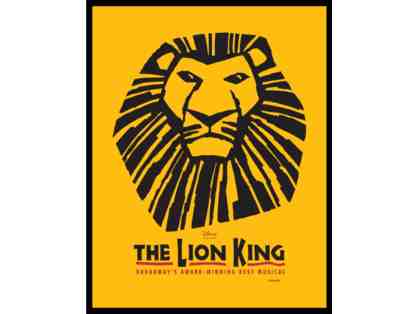 The Lion King Experince and Tour