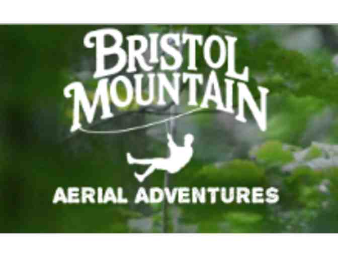 Bristol Mountain Aerial Adventure Park - Photo 1