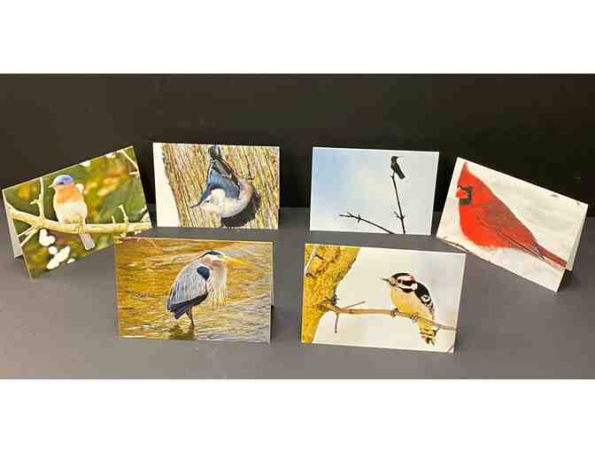 Bird Note Cards - 12-pack