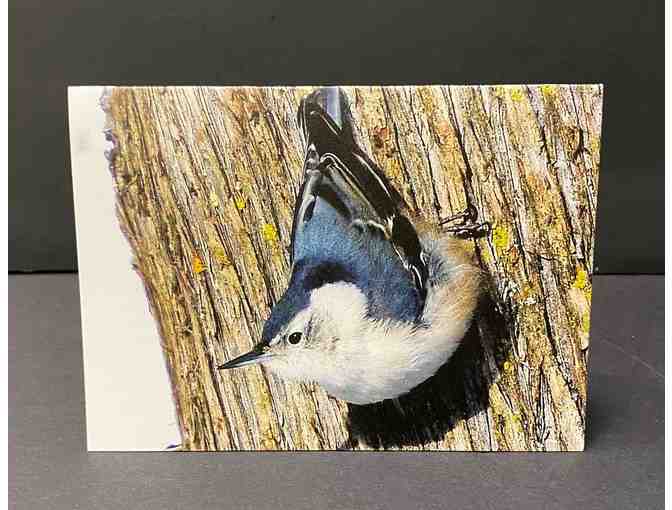 Bird Note Cards - 12-pack