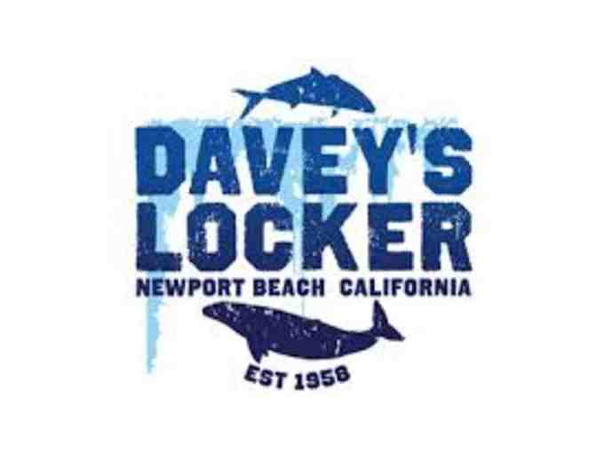 Whale Watching with Davey's Locker