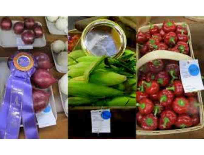 Topsfield Fair Family Four Pack