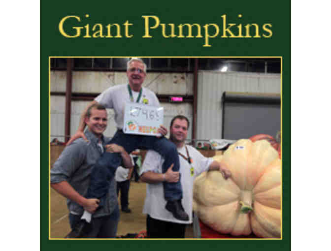 Topsfield Fair Family Four Pack