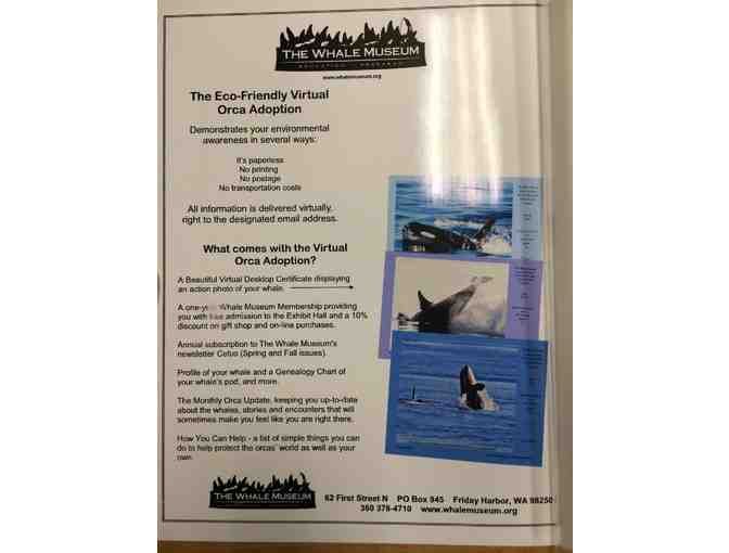 Adopt A Southern Resident Killer Whale