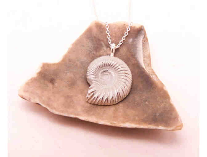 Silver Ammonite Fossil Necklace (Pure Silver Pendant)