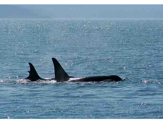 Special Private Screening of Documentary Fragile Waters with Rick Wood