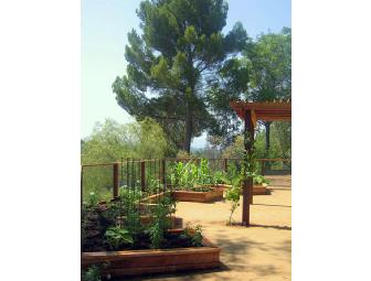 The Woven Garden - A two hour Garden Consulting Service in LA and trip to Botanic Garden