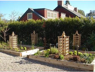 The Woven Garden - A two hour Garden Consulting Service in LA and trip to Botanic Garden