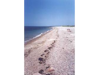 A week's retreat in beautiful Sandwich MA, Cape Cod.