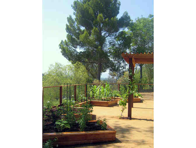 The Woven Garden - A two hour Garden Consulting Service in LA