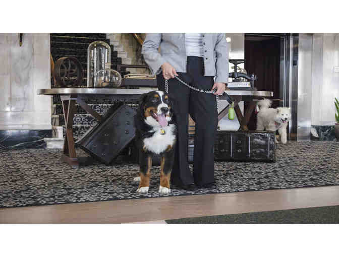 1 Night Stay in Superior Accommodations at Hotel Teatro in Denver, CO.