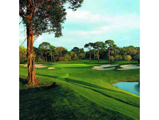 2 Nights in an Executive Suite & a Round of Golf for 2 at Innisbrook Resort in Florida. - Photo 4