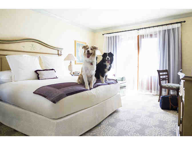 1 Night in a Deluxe Harbor View Room at the Delamar Greenwich Harbor