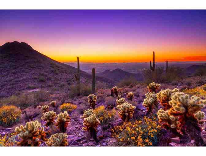 1 Night Stay at the Andaz Scottsdale Resort & Bungalows in Arizona