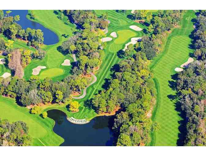 2 Nights in a Suite for 2 Adults & a Round of Golf for 2 at Innisbrook Resort in FL