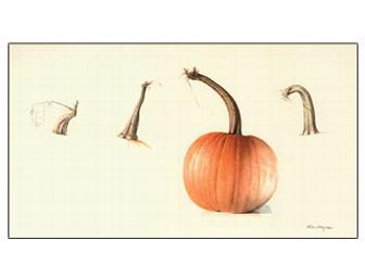 'Pumpkin Stems', by Alan Magee