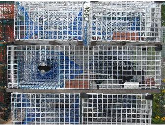 10 - 4 ft. lobster traps donated by Brooks Trap Mill and Kinney Rentals