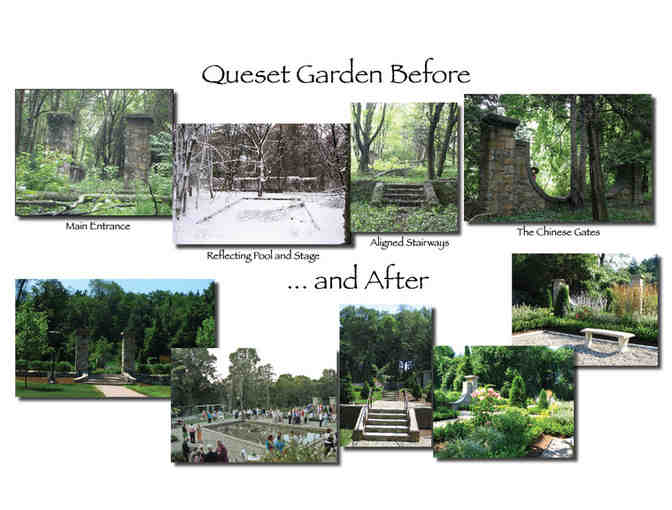 $100 towards garden design/installation/care/consultations - Blue Newt Landscape Designs