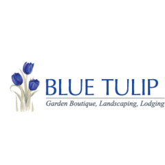 Blue Tulip Garden Boutique