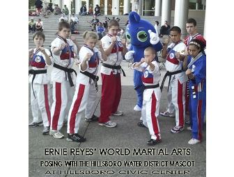 Three Months Martial Arts Lessons + Karate Uniform