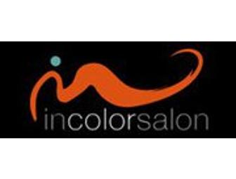 $100 Gift Certificate to In Color Salon