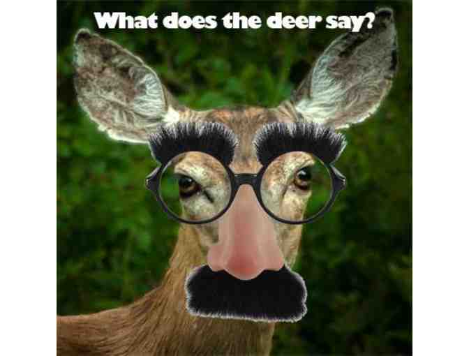 Newport Avenue market Gift Basket