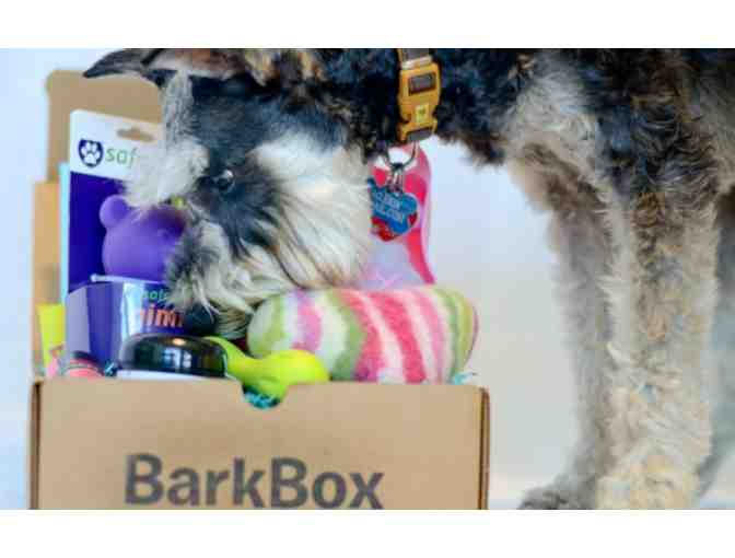 BarkBox subscription 1 month