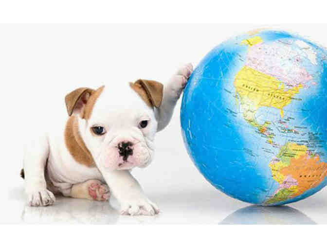 BarkBox subscription 1 month