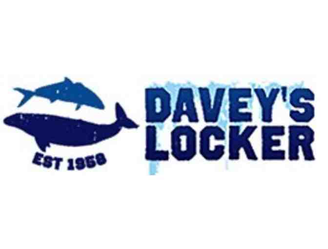 Davey's Locker - 2 Vouchers for Whale Watching Trip - Photo 1