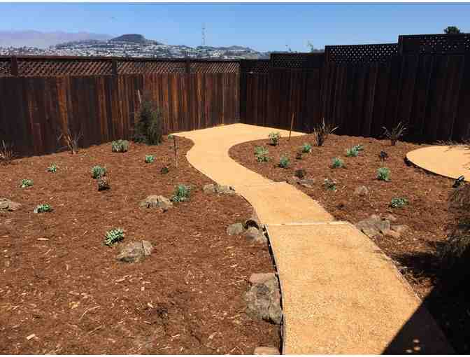 Upgrade your Garden in 2017 -- landscaping consultation and upgrade