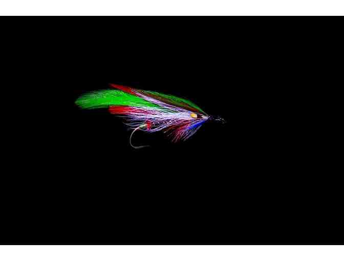 Flies For Freedom Shadow Box