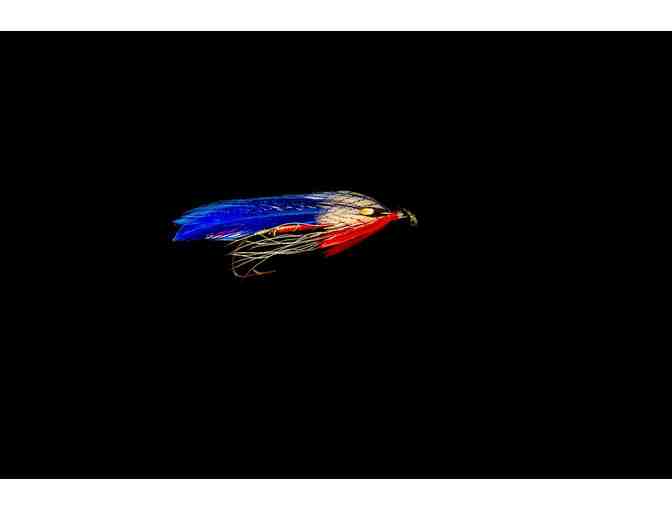 Flies For Freedom Shadow Box