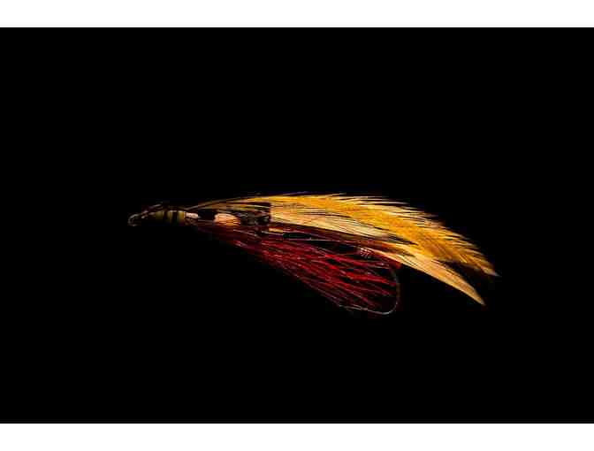 Flies For Freedom Shadow Box