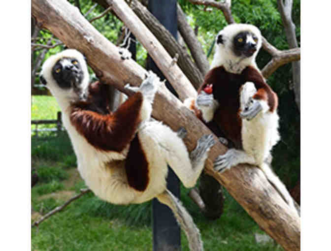 Family Pass to the Sacramento Zoo -- Four (4) Free Admissions