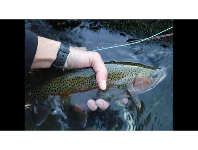Guided Fly Fishing Day for Two (2) on Putah Creek