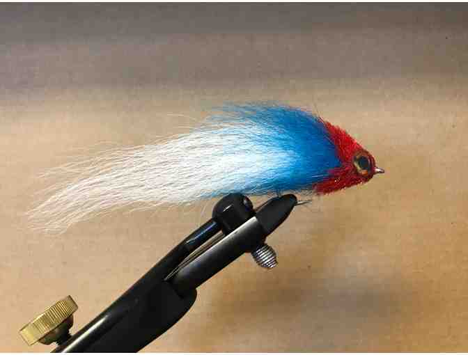 saltwater bait fish pattern streamer By:Jonathan King