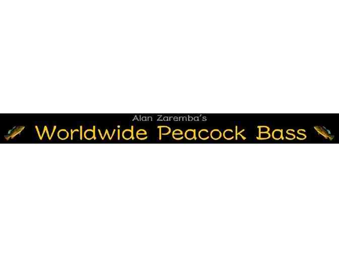 Take a Trip with Capt. Alan Zaremba's Worldwide Peacock Bass, Miami Florida