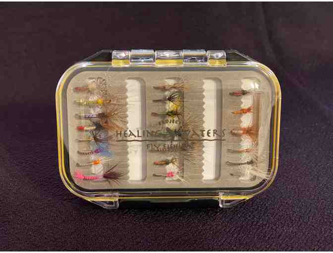 Aaron's 40 Fly Collection