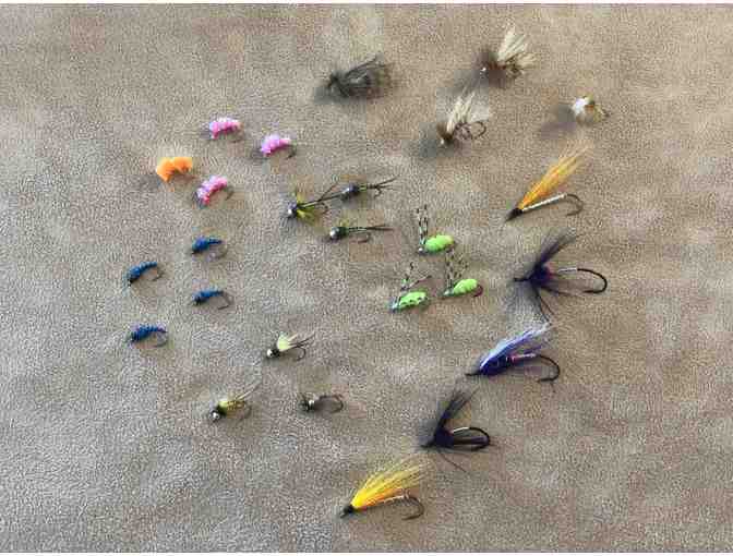 Willoughby Media Team Fly Collection