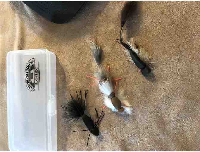 Gates Lodge - Three Blind Mice